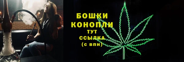 марки nbome Белокуриха