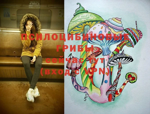 мет Касимов