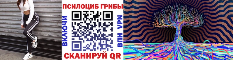 Галлюциногенные грибы ЛСД  купить закладку  Дорогобуж 